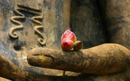 VÔ THƯỜNG LÀ MỘT LOẠI NĂNG LƯỢNG TÍCH CỰC SỐNG KHÔNG SỢ HÃI SINH LÃO BỆNH TỬ