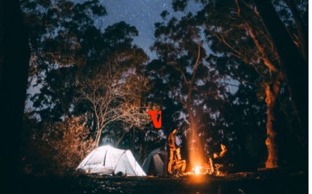 9 Loại Tài Sản Không Bao Giờ Mất Giá – Đầu Tư Khôn Ngoan Cho Cuộc Sống Bền Vững