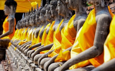 Giáo Lý Duyên Khởi: Nền Tảng Cốt Lõi Của Phật Giáo