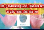 TIẾT LỘ TÍNH CÁCH QUA SỐ LƯỢNG HOA TAY – 'BÍ MẬT' TRONG LÒNG BÀN TAY!