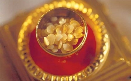 XÁ LỢI PHẬT – Ý NGHĨA SÂU SẮC THEO KINH ĐIỂN PHẬT GIÁO