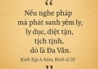 Nghe Nhiều Chưa Chắc Là Đa Văn – Học Phật Pháp Không Phải Để Biết, Mà Để Thấy