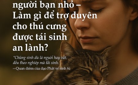 Mất Đi Một Người Bạn Nhỏ – Làm Gì Để Trợ Duyên Cho Thú Cưng Được Tái Sinh An Lành?