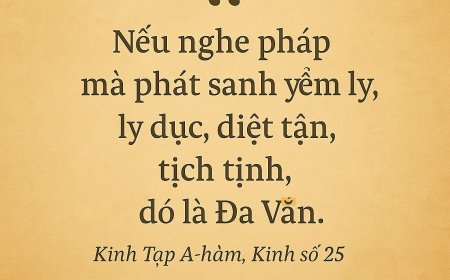 Nghe Nhiều Chưa Chắc Là Đa Văn – Học Phật Pháp Không Phải Để Biết, Mà Để Thấy