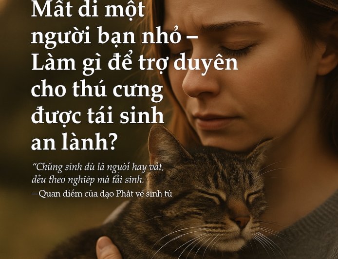 Mất Đi Một Người Bạn Nhỏ – Làm Gì Để Trợ Duyên Cho Thú Cưng Được Tái Sinh An Lành?