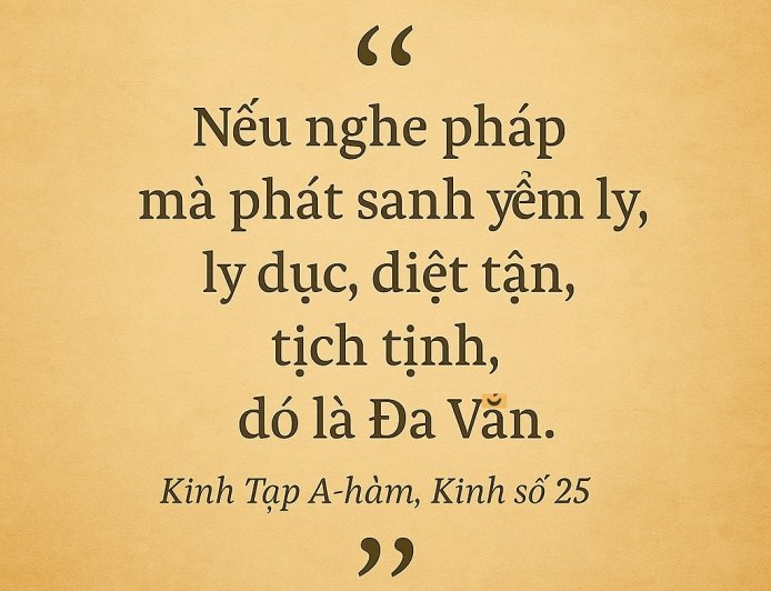 Nghe Nhiều Chưa Chắc Là Đa Văn – Học Phật Pháp Không Phải Để Biết, Mà Để Thấy