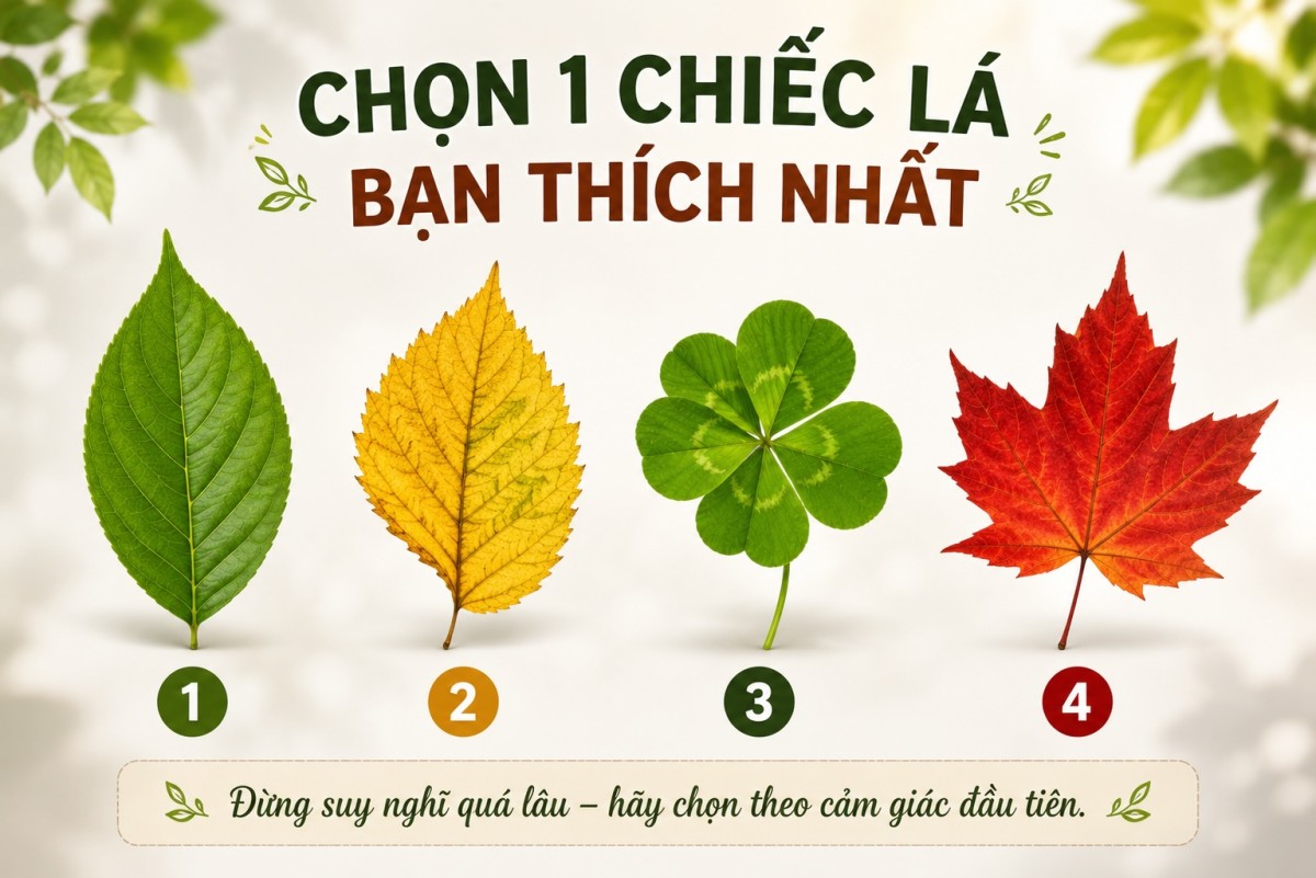 Chọn 1 chiếc lá bạn thích nhất: Lựa chọn của bạn tiết lộ điều gì về thời gian tới?