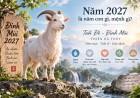Năm 2027 là năm con gì, mệnh gì? Người sinh năm Đinh Mùi hợp tuổi nào?