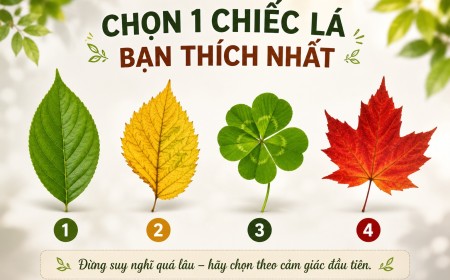 Chọn 1 chiếc lá bạn thích nhất: Lựa chọn của bạn tiết lộ điều gì về thời gian tới?